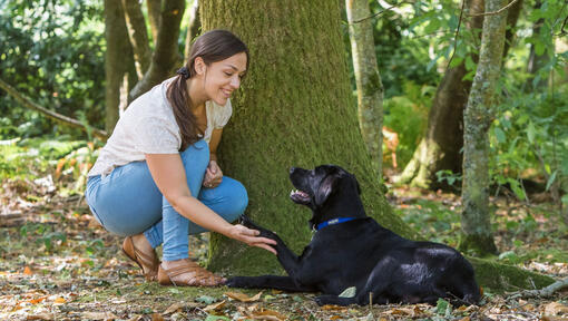 Vrouw hurkt neer met hond bij een boom