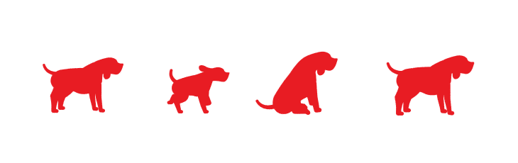 Welkom op de Hondenras wijzer 'Welke hond past bij mij' van PURINA