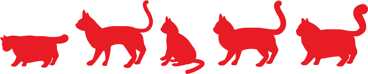 Welkom op de Kattenras wijzer 'Welke kat past bij mij' van PURINA