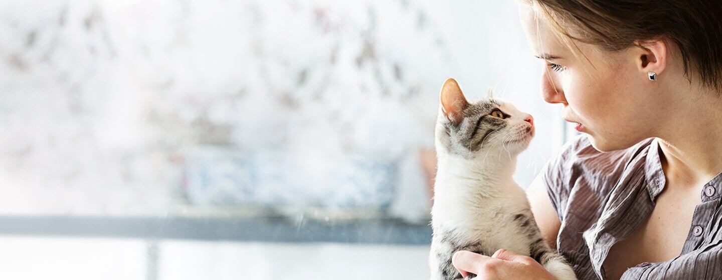 Kitten met een lichte vacht wordt vastgehouden door een vrouw