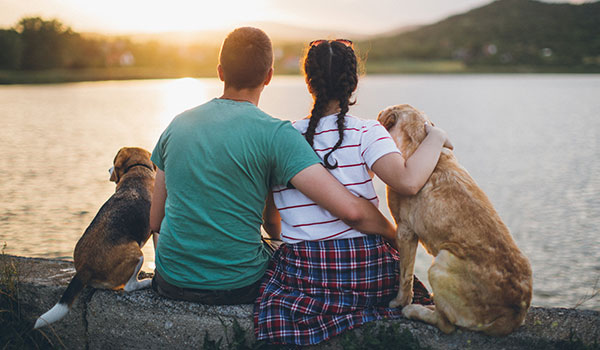 Koppel met twee honden