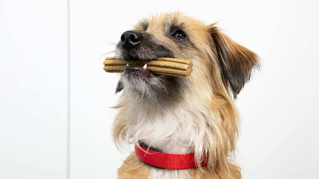 Hondenvoer tandheelkundige kauwsnacks lijstpagina