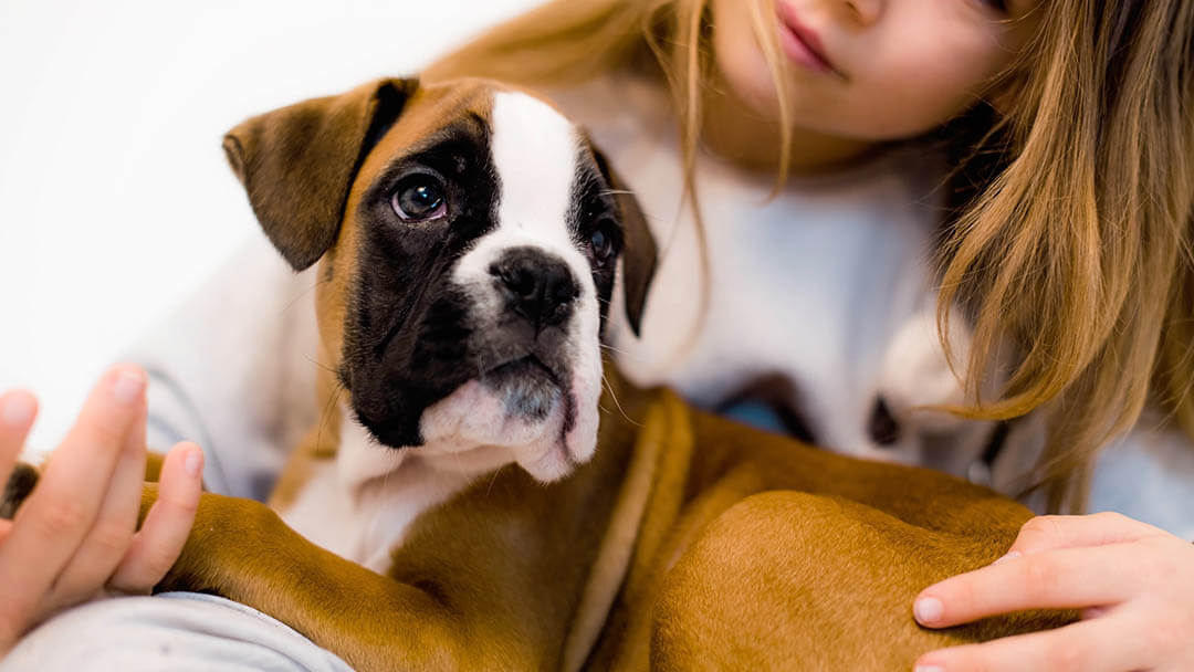 Meisje met een hond.