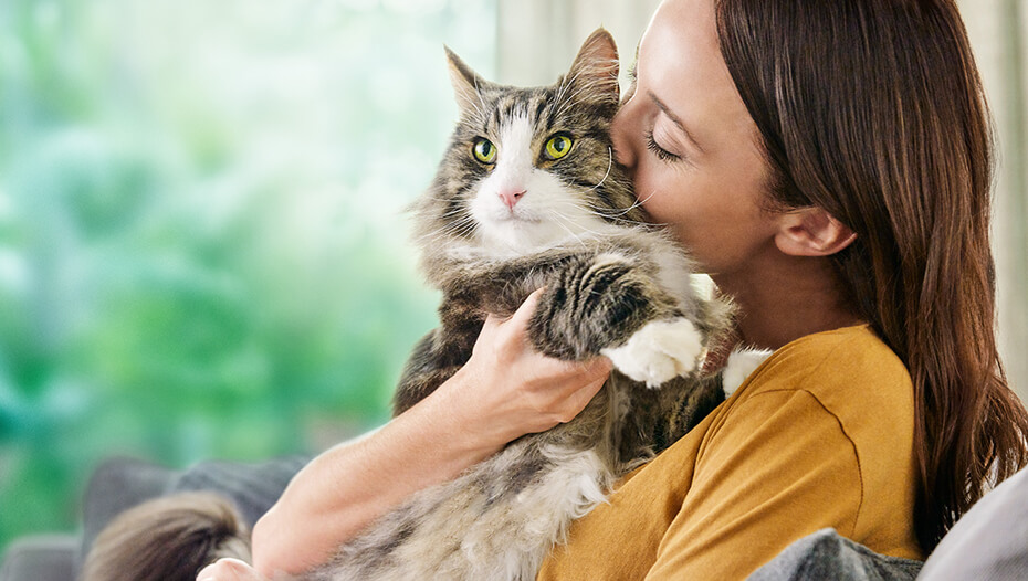 Vrouw knuffelt kat