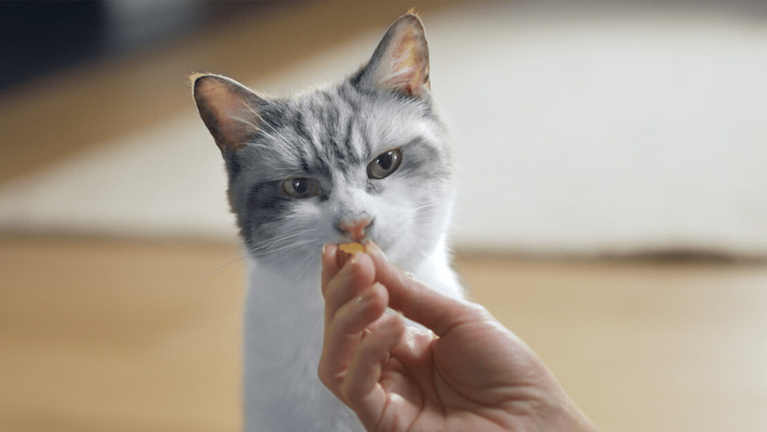 kattenvoer gebitsverzorgende kattensnacks product listingpagina