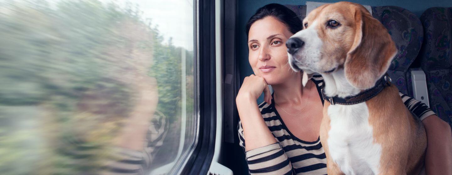 vrouw en beagle kijken uit een treinraam