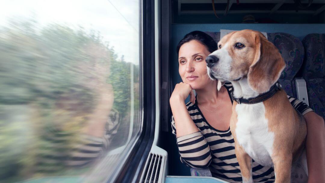 vrouw en beagle kijken uit een treinraam