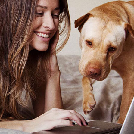 vrouw en hond kijken naar computer