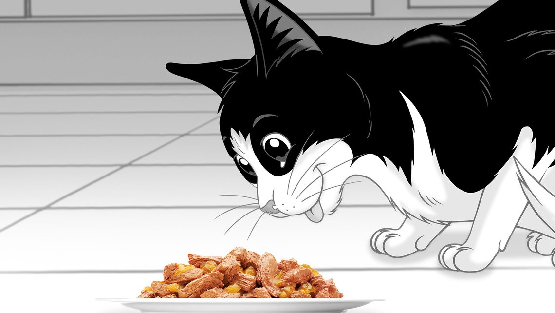 Felix eet elke dag feest kattenvoer