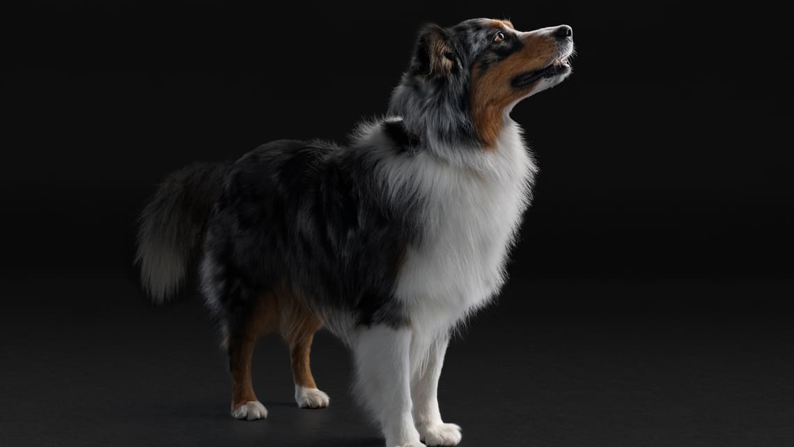 PURINA PRO PLAN hondenvoer 