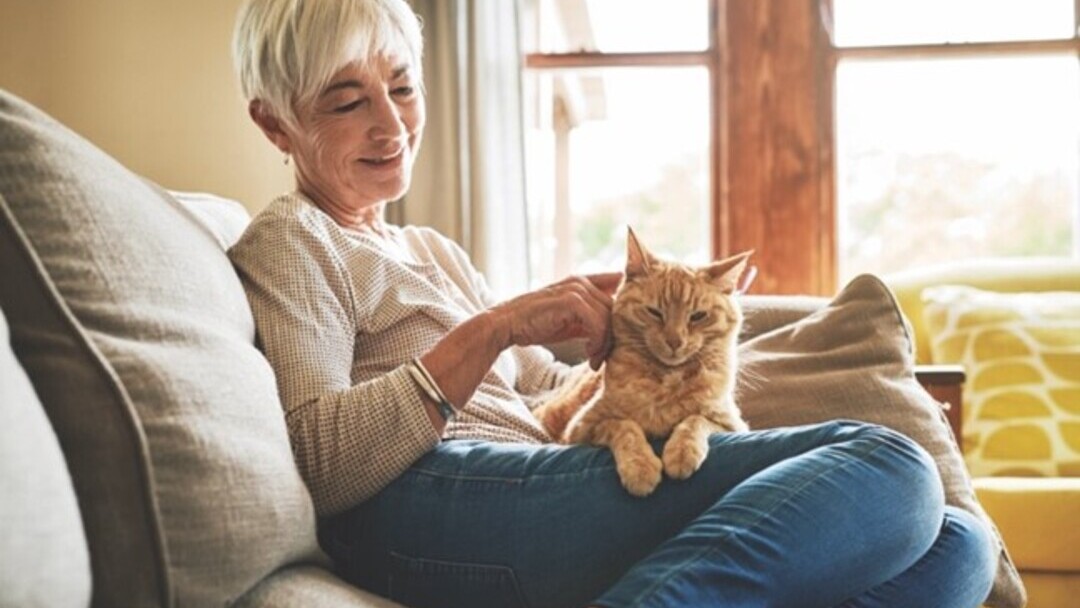 vrouw met kat op schoot