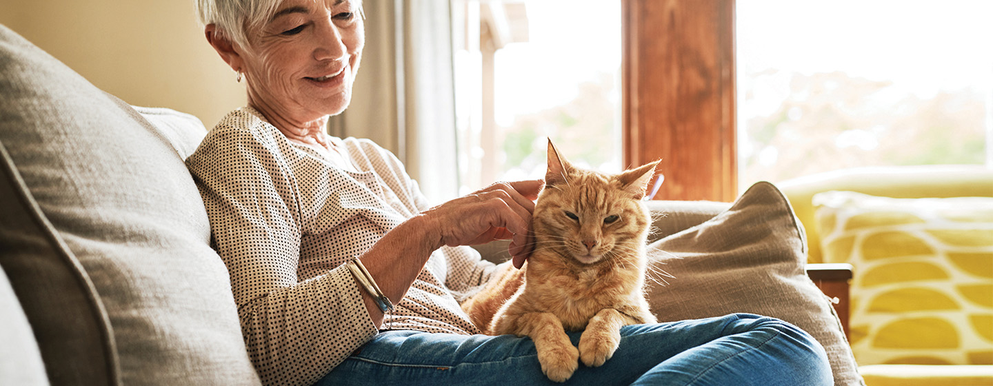 vrouw met kat op schoot