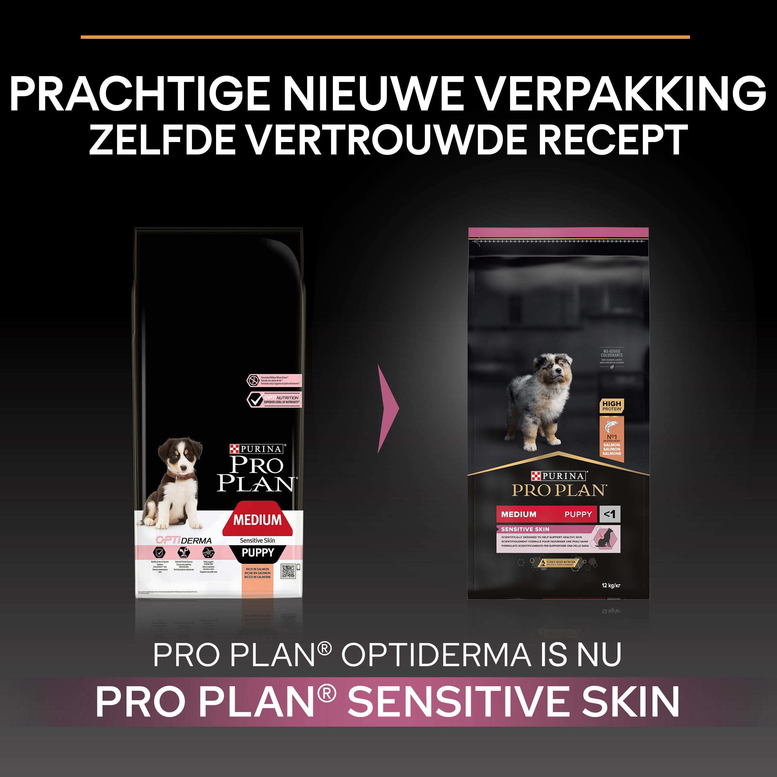 Pro plan medium deals puppy sensitive skin