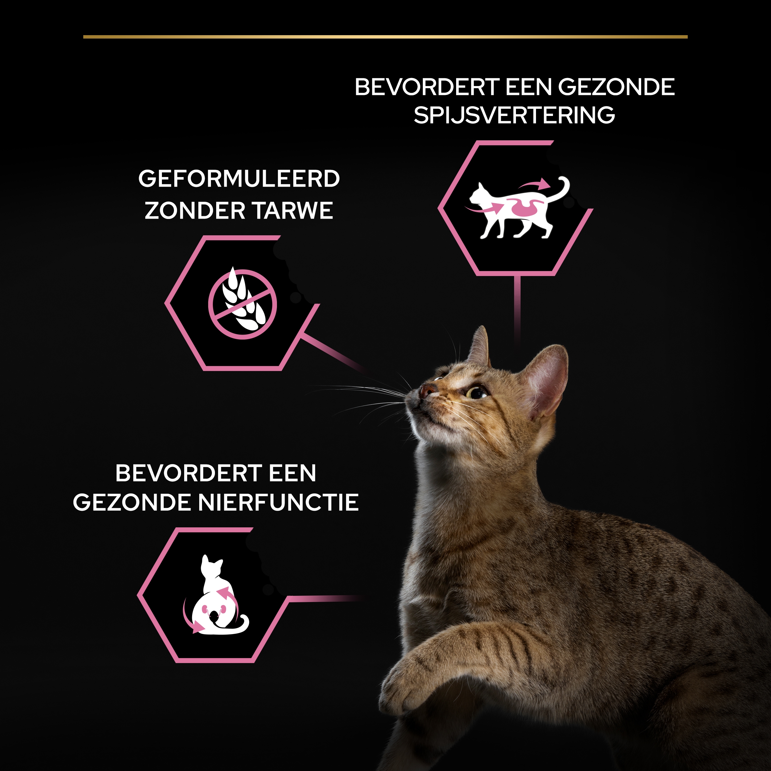 Purina Pro Plan natvoer voor katten, gesteriliseerd, met eend, 26