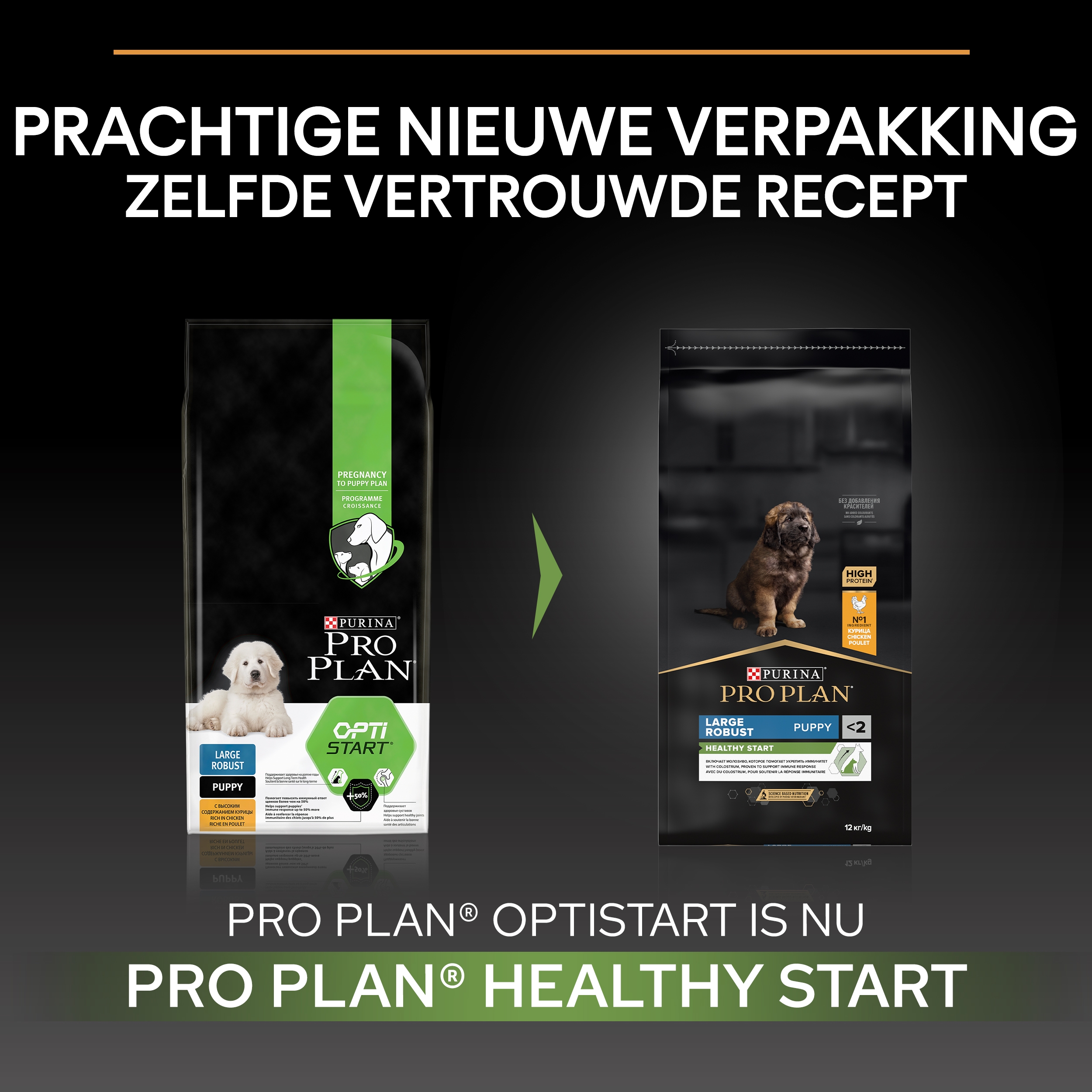 PRO PLAN Large Robust puppy Healthy Start Purina