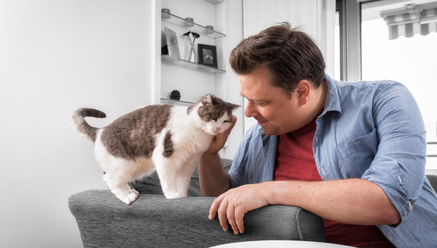 Een man die het gezicht van zijn kat aait terwijl deze op de armleuning van een bank staat