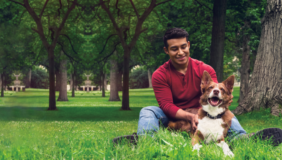 De man zat op het gras tussen de bomen terwijl zijn hond voor hem lag