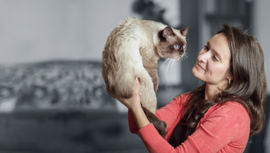 Een vrouw kijkt naar het gezicht van haar kat terwijl ze hem in de lucht houdt