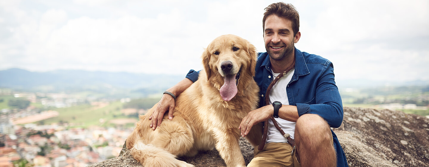 Hond zit op de berg met de mens