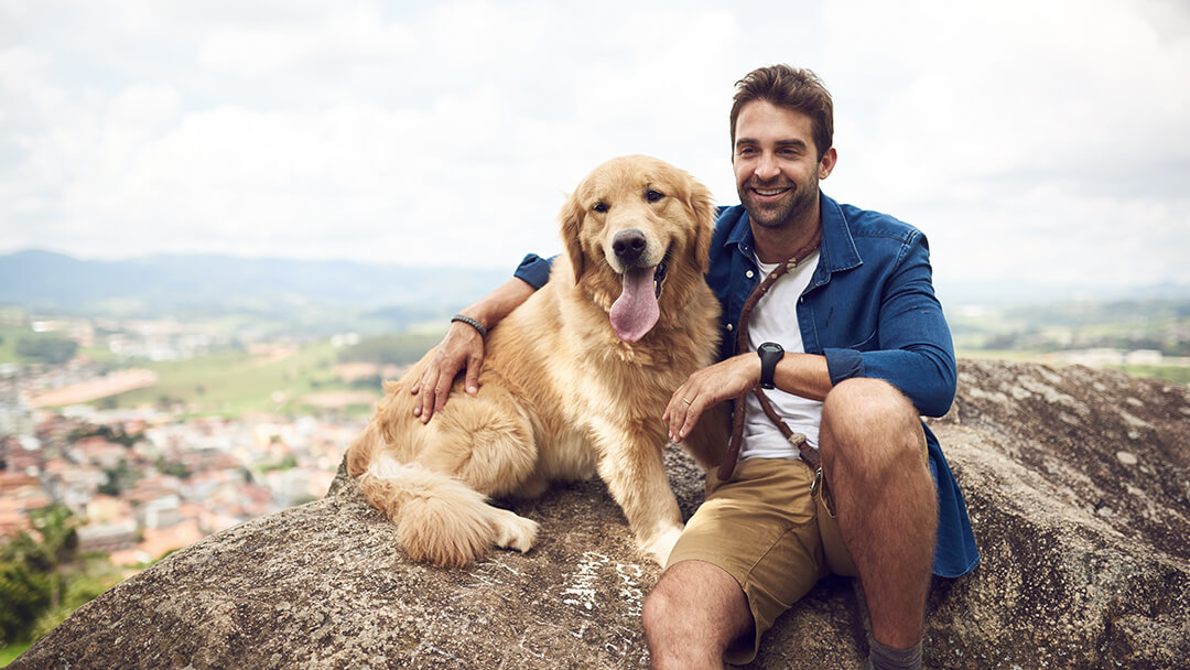 Hond zit op de berg met de mens