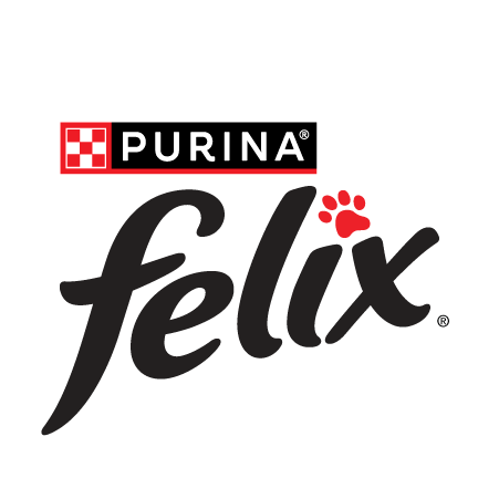 Felix Stray Kids Animal