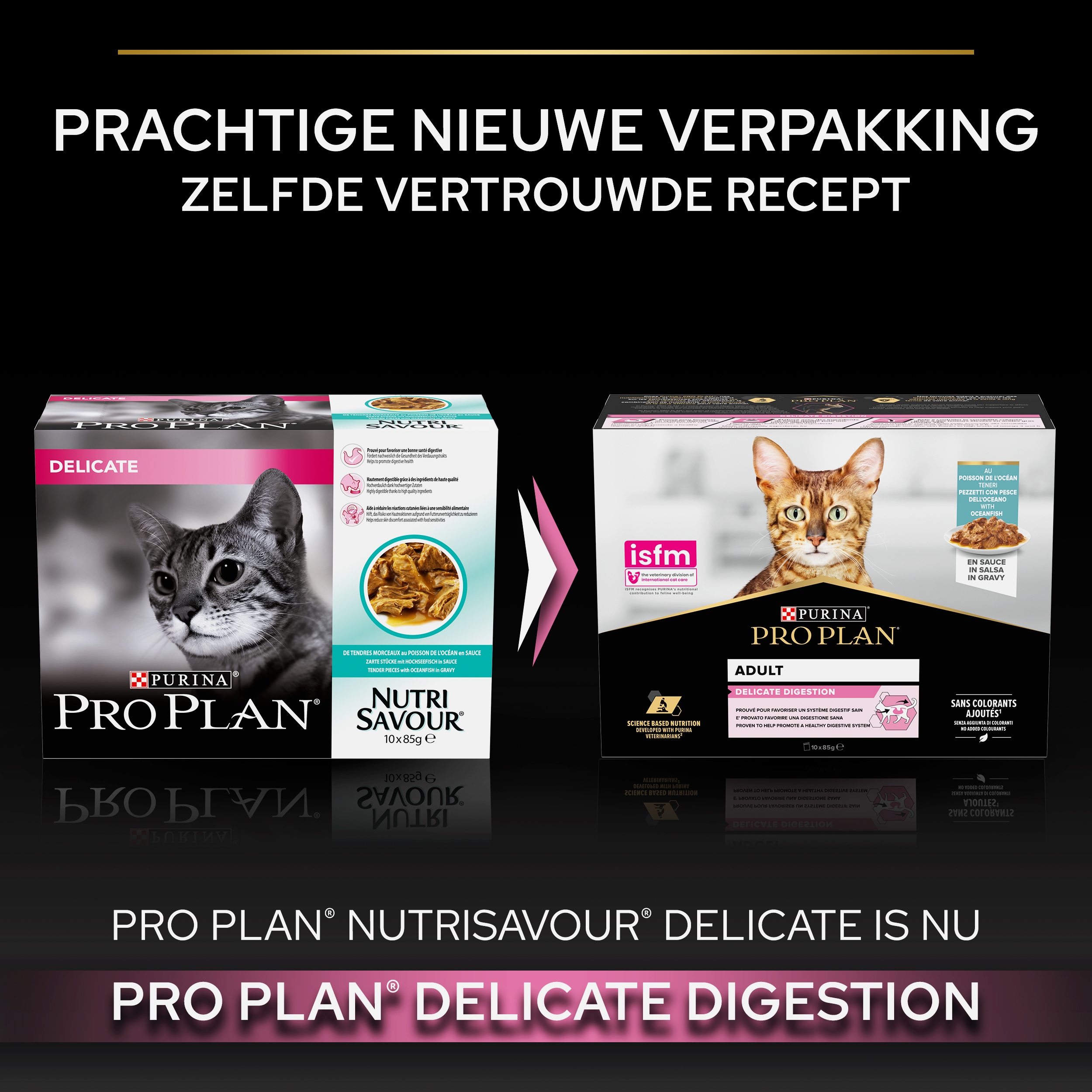 24x Renske Vers Paté Kitten Kattenvoer Nat Kip Met Kalkoen 70 gr 24x Renske Vers Paté Kitten Kattenvoer Nat Kip Met Kalkoen 70 gr