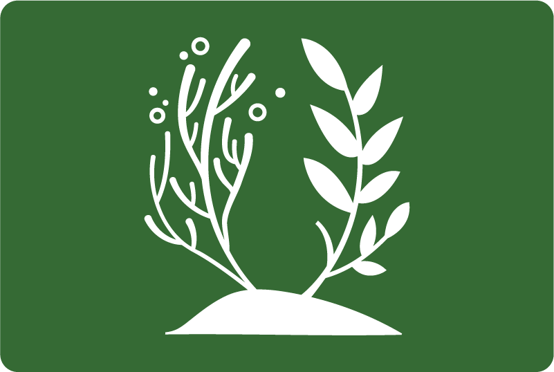 duurzaamheidslogo met witte planten op een rode achtergrond