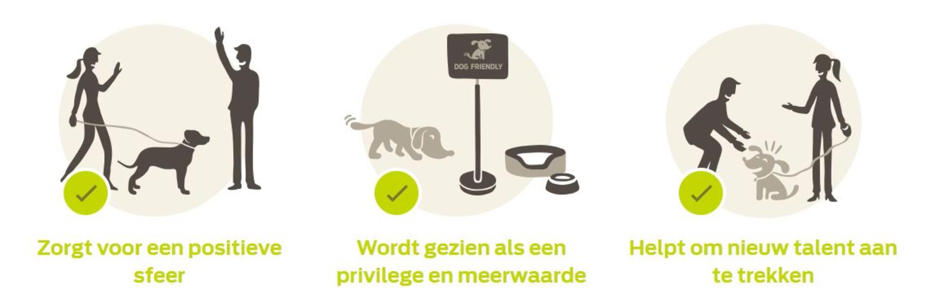 Huisdieren op het werk infographic