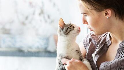 Kitten met een lichte vacht wordt vastgehouden door een vrouw