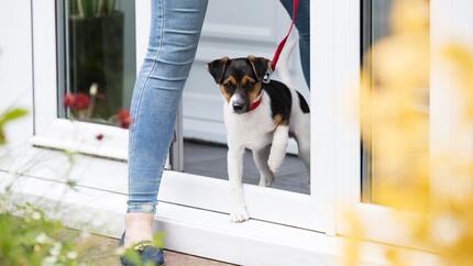 Puppy aan de lijn die het huis verlaat met de eigenaar