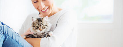 Tips voor kattenpensions en kattenoppas aan huis
