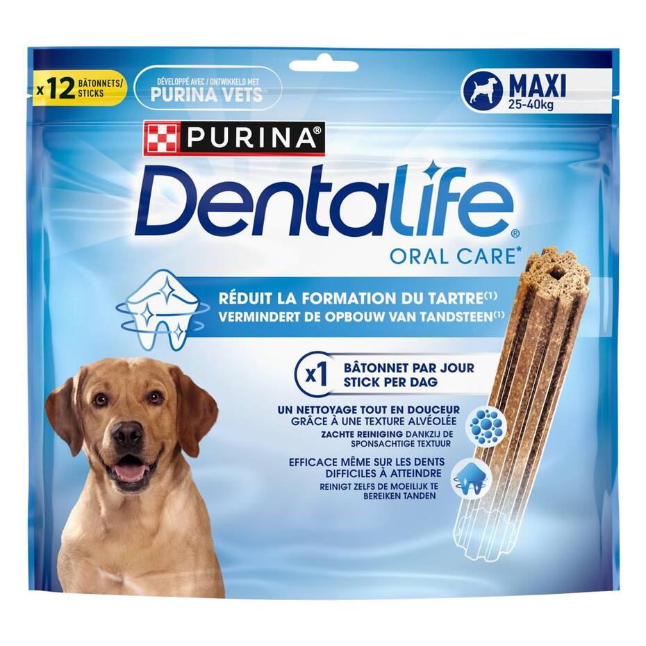 Dentalife® Daily Large