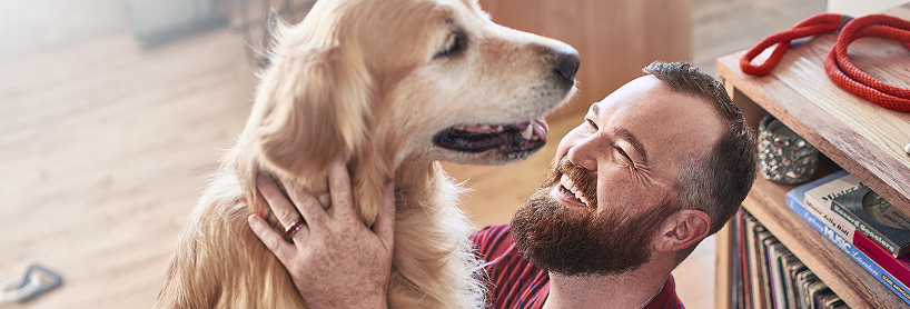 Purina Hund