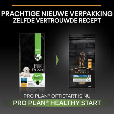Pro Plan Large Robus Healthy Start Before After