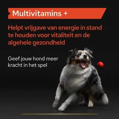 PRO PLAN® Multivitamine supplement voor honden
