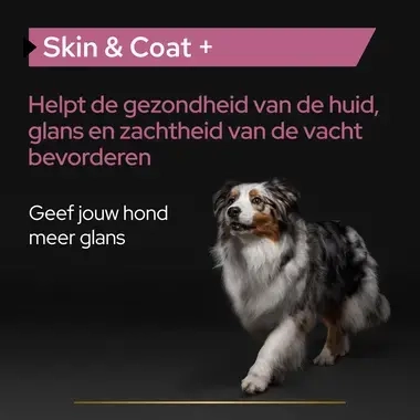 PRO PLAN® hond Skin&Coat supplement olie