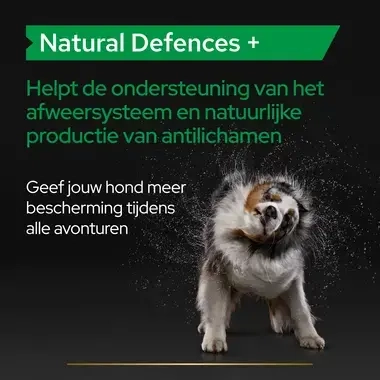 PRO PLAN® Dog Natural Defences supplement tabletten