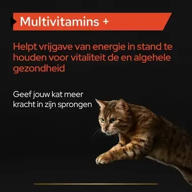 PRO PLAN® Multivitamine Supplement voor katten