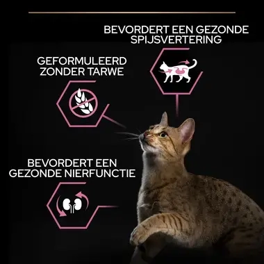 PRO PLAN kattenvoer delicate kalkoen USP