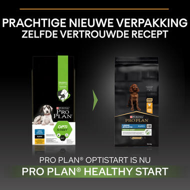 Pro Plan Large Athletic Healthy Start Before After