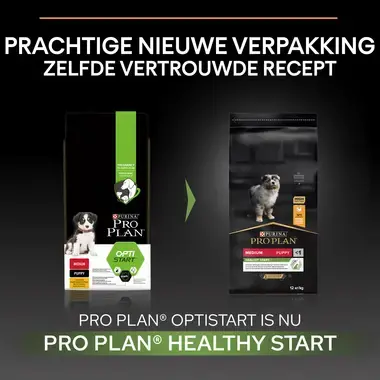 Pro Plan Medium Healthy Start Before After