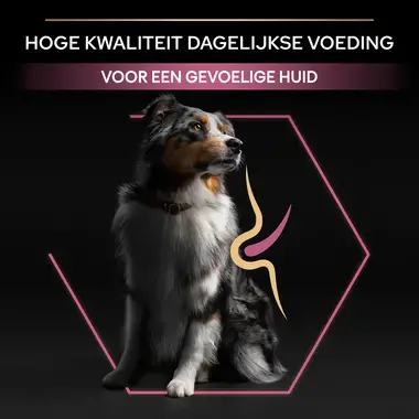 USP PURINA® PRO PLAN® Medium Adult Sensitive Skin Rijk aan Zalm