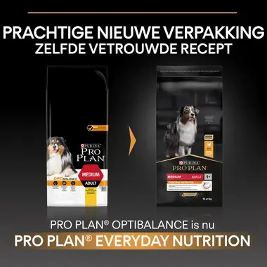 Before PURINA® PRO PLAN® Medium Adult Everyday Nutrition