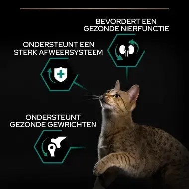 PRO PLAN kattenvoer adult kip USP