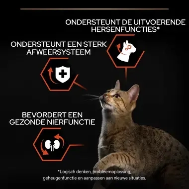PRO PLAN kattenvoer sterilised zalm USP