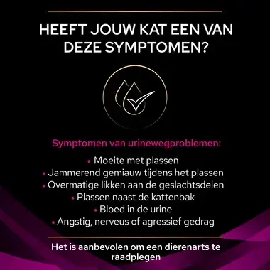PPVD UR St/Ox Urinary Kip kattenvoer symptomen