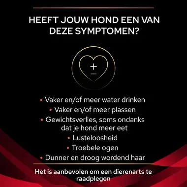 PPVD DM Diabetes Management hondenvoer Symptomen