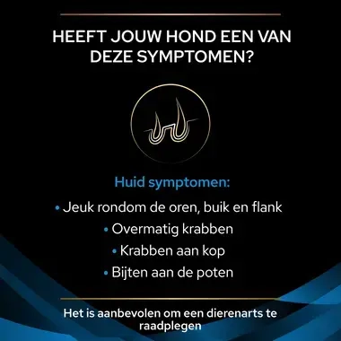 PPVD DRM Dermatosis hondenvoer Diagnose