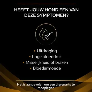 PPVD NF Renal Function hondenvoer symptomen