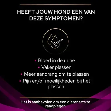 PPVD UR Urinary hondenvoer symptomen